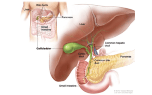 Gallbladder-Cancer